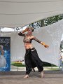 BUGA2011   195